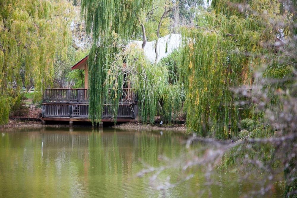 Perricoota Vines Retreat Hotel Моама Стая снимка