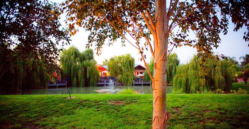 Perricoota Vines Retreat Hotel Моама Екстериор снимка
