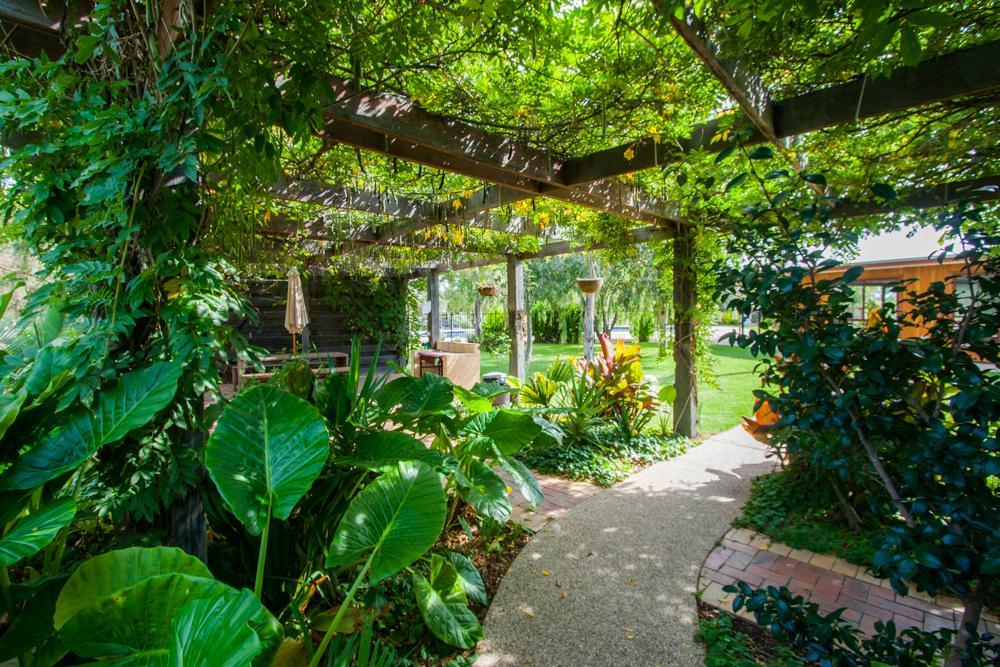 Perricoota Vines Retreat Hotel Моама Екстериор снимка