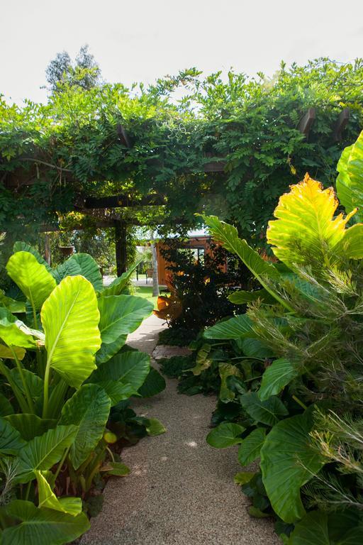 Perricoota Vines Retreat Hotel Моама Екстериор снимка