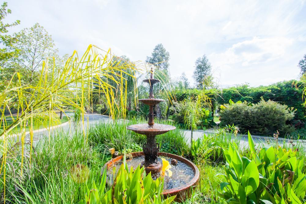 Perricoota Vines Retreat Hotel Моама Екстериор снимка