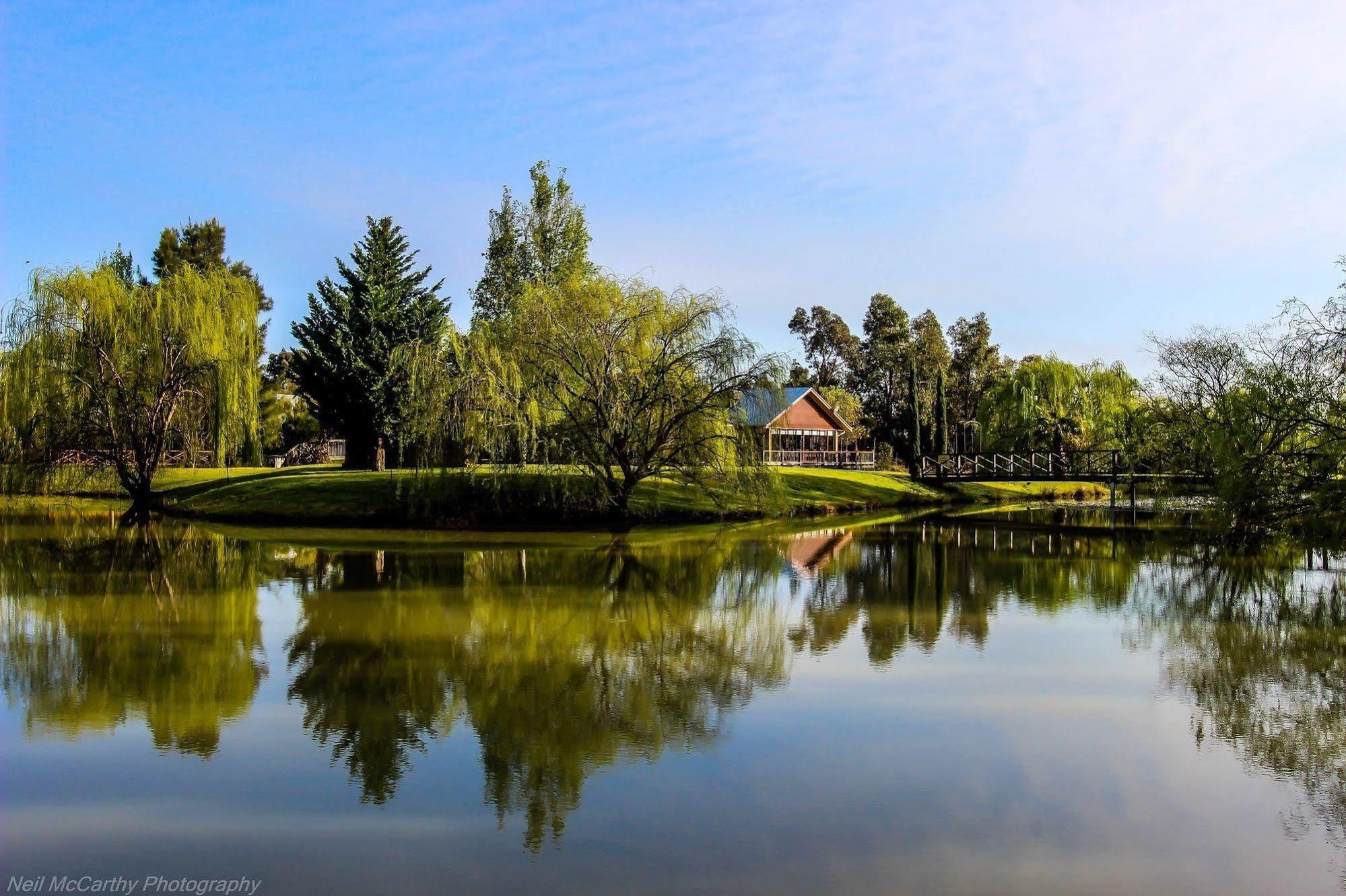Perricoota Vines Retreat Hotel Моама Екстериор снимка